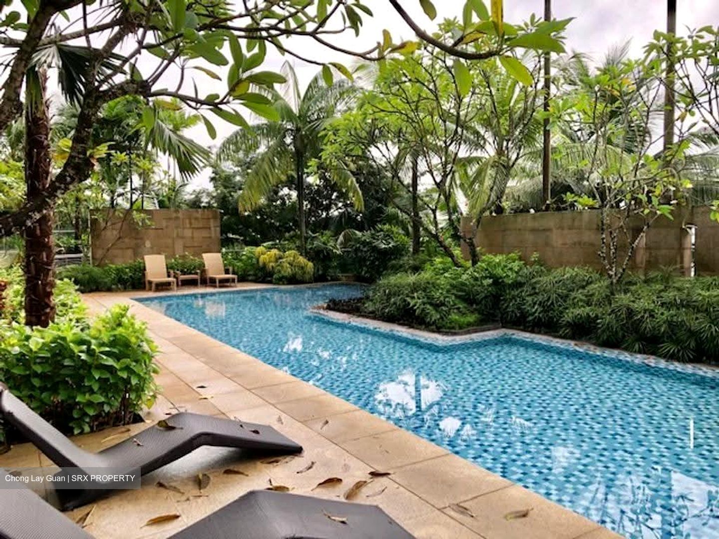 Balmoral Hills (D10), Condominium #621681641